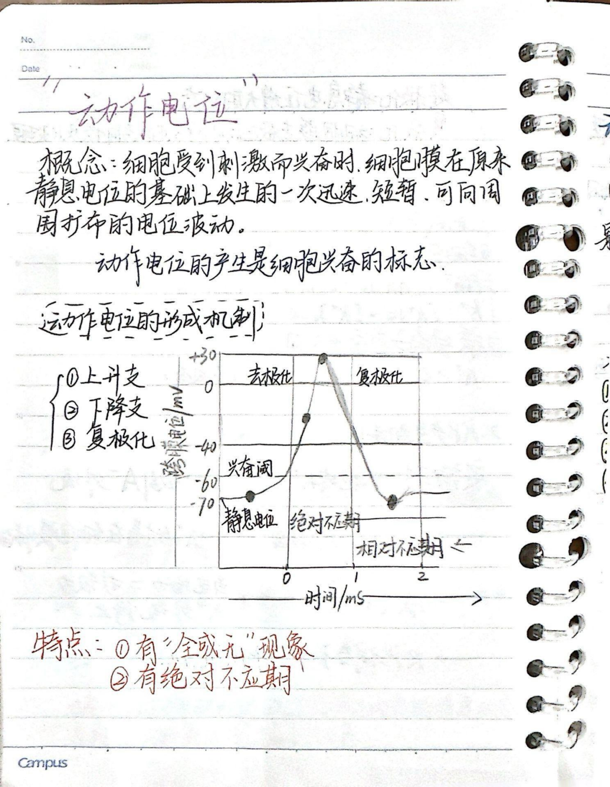 5635db0909d347268011370fad05efd9.png 5635db0909d347268011370fad05efd9.png